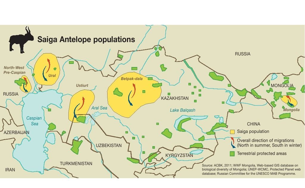 saiga_antelope_populations_map